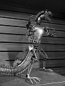 Kids-NYC_AMNH_3-2014 (105)
